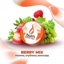 Burn Berry Mix 200гр