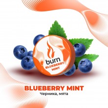 Burn Blueberry Mint 200гр