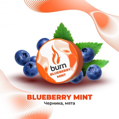 Burn Blueberry Mint 25гр