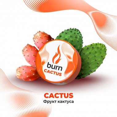 Burn Cactus 200гр