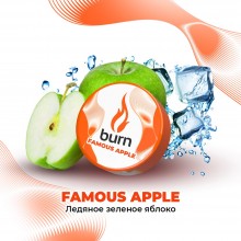 Burn Famous Apple 200гр