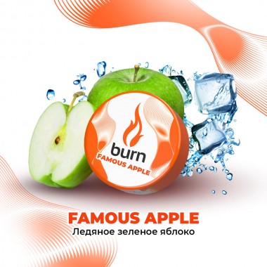 Burn Famous Apple 25гр