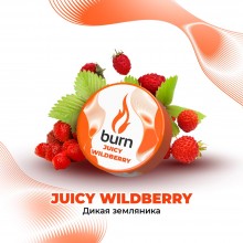 Burn Juicy Wildberry 200гр