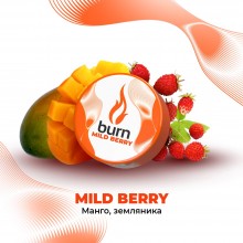Burn Mild Berry 25гр