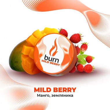 Burn Mild Berry 200гр