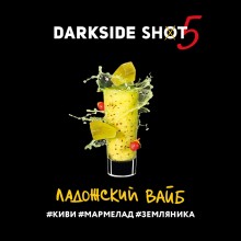 Darkside Shot Ладожский Вайб 30г