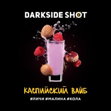 Darkside Shot Каспийский Вайб 30г